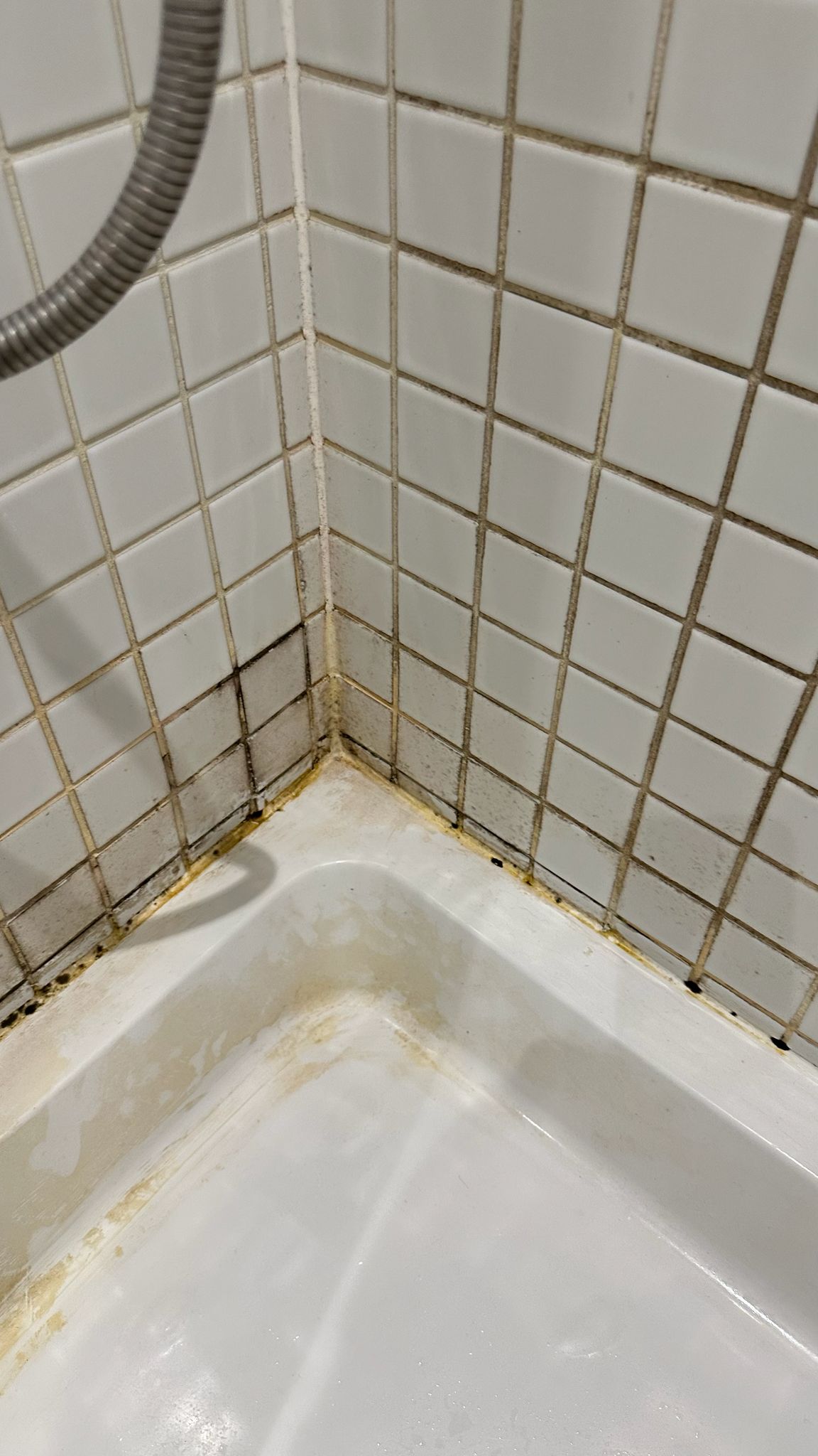 Before cleaning state