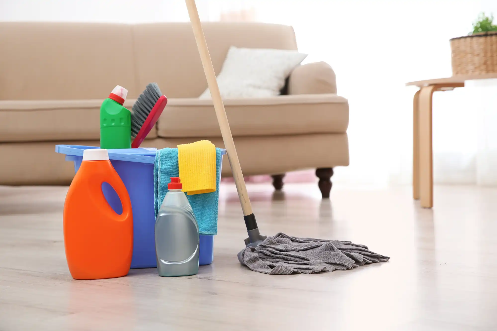 Domestic Cleaning